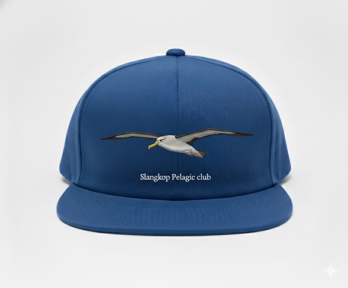 Slangkop Pelagic Club cap, with a Shy Albatross