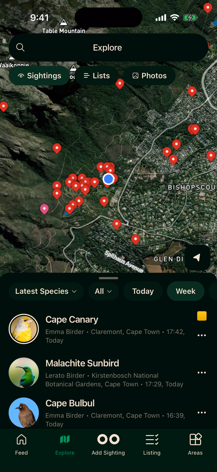 The explore map around Kirstenbosch, pinned with this week's sightings, and the latest species listed below it.