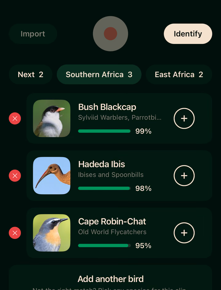 Bird Call ID's answers for a recorded call: Bush Blackcap at 99%, Hadeda Ibis at 98% and Cape Robin-Chat, each with a button to add it.