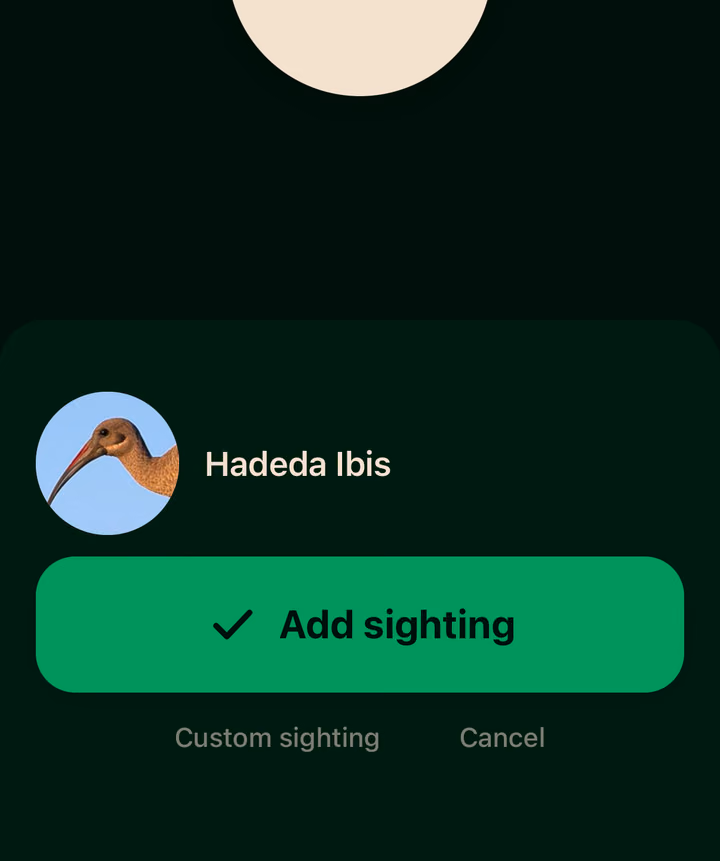Voice Add has heard Hadeda Ibis and offers one button to add the sighting.